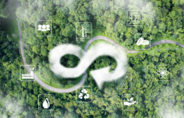 Las tres 's' de la distribución automática: un equilibrio entre sostenibilidad, salud y seguridad